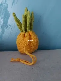 Pineapple pouch