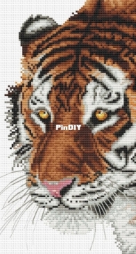 The Tiger by Tatiana Arefieva