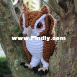 The Cheerful Chameleon - Charlyn Smith - Screech the Owl