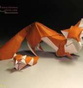 Fox by Hoang Tien Quyet