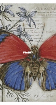 Chimera - Butterfly Vintage 7 by Jane Shasky PCS