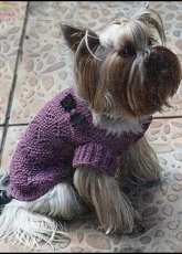 Unknown Designer - Lilac sweater for a dog - Russian - Free