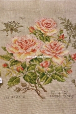 Etude a la rose Just Joey