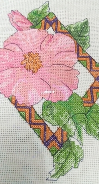Completed Syrian Rose Cross Stitch