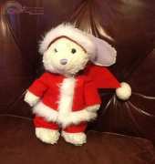 Santa Bunny