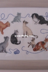 Semco Cats Sampler