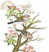Eva Rosenstand  12-697 PCS