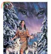 HAEDAP 1030 Wolf Aurora - David Penfound Artworks