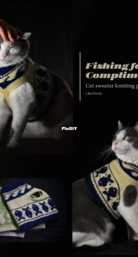 Fishing for Compliments Cat Sweater by 2 Bird Knits