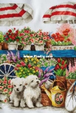 DOME STC Flower Shop