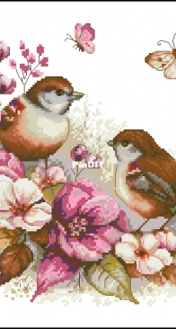 Luca-S-B2420 The Birds Spring