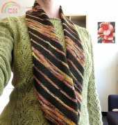 Fudwicks Garden Cowl by Chris Rieffer