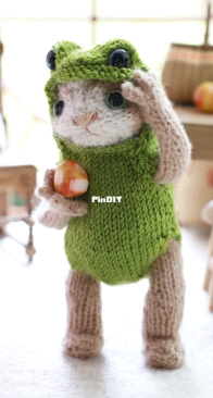 Kitten in a Frog Suit by Claire Garland - Dot Pebbles