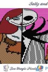 Two Magic Pixels- Sally and Jack