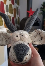 Gus the goat head