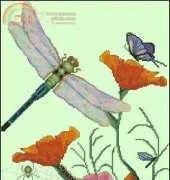 Cross my heart CSB-243  Dragonfly