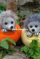 Sankt-Haekelmaus - Otterthaler Haekelmaus - Sabine Schreiner - Hedgehog in the pumpkin - Igelchen im Kürbis - German