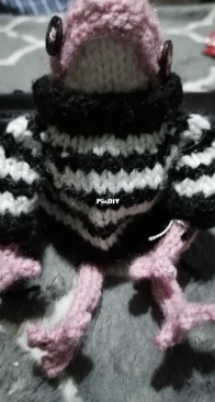 Frog with sweater!