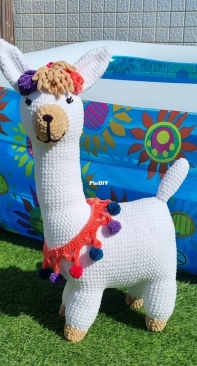 Cute Llama :)
