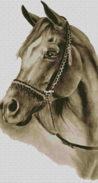 Horse by Maria Keryk (KERU)