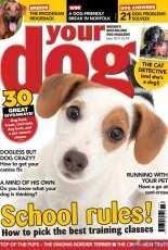 Your Dog June 2017