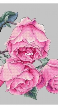 Coricamo - GC10270 Rose Twig XSD