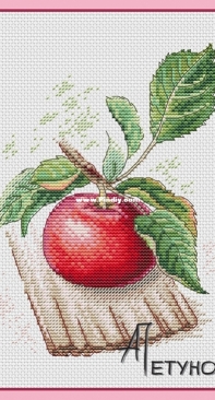 Apple by Anna Petunova