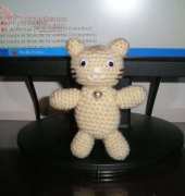 LINDO GATITO