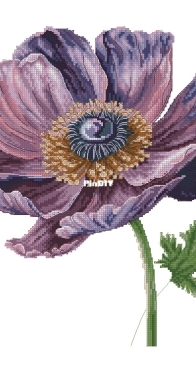 Anemone by Anastasiia Yermakova XSD
