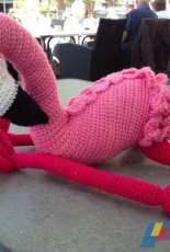 My beautifull Flamingo