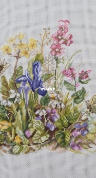 Wildflowers2 Lanarte