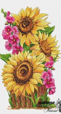 Murrena - Sunflowers by Svetlana Kaymak
