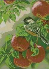 Bluetit on Apples from Вишиті картини Embroidered Paintings 100 2012 XSD