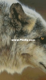 Wolf by Wood House / Древесный дом
