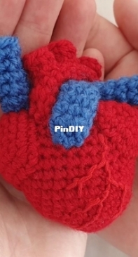 The Woolly Scientist - Aoife Hardesty - Anatomical Heart - Free