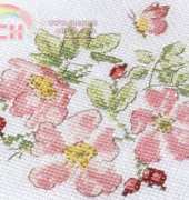 Veronique Enginger Une envie de rose from Creation Point de Croix 39 2014