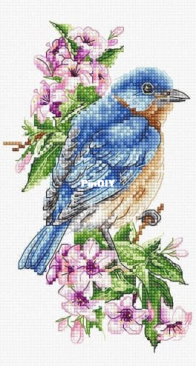 Luca-S - B1198 - Bluebird on a Branch