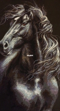 Black Horse