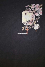 Peach blossom & lantern
