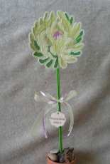 Mother Days