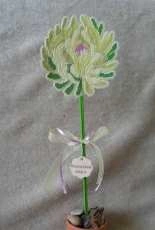 Mother Days