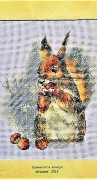 Squirrel with nuts