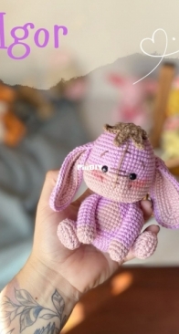 Mi Mundo Unicornio Amigurumi - Roxana Spaciuk - Eeyore - Igor - Spanish - Free