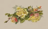 Paradise Stitch - Tea rose by Olga Lankevich