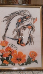 Horse in poppies