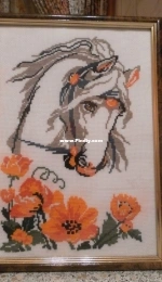 Horse in poppies