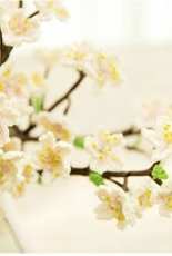Susu Handmade - Cherry Blossom - Chinese - Free