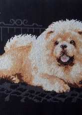 chow chow