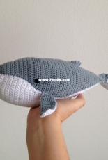 Whale