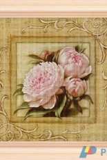 Stefy Palma - Fiori 120